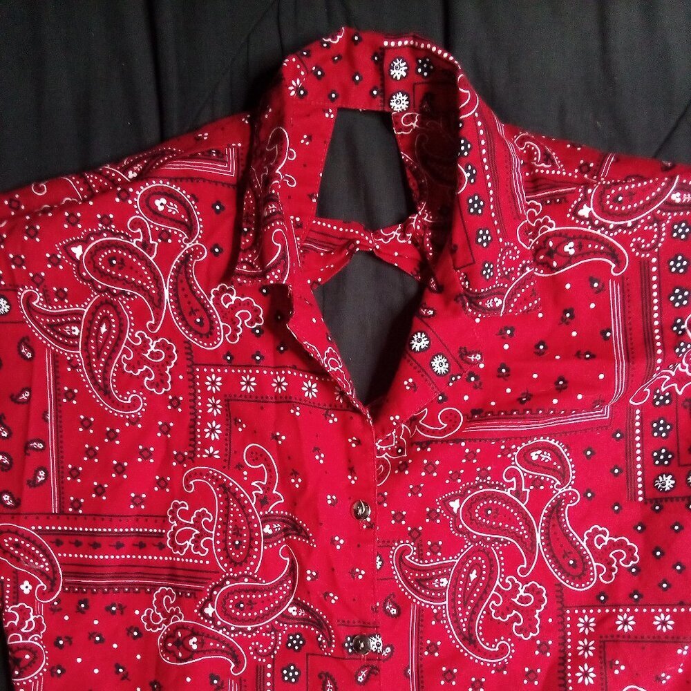Vintage Circle T Marilyn Lenox Bandana Paisley Western Shirt Sleeveless Blouse